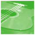 Solo Acoustic Volume Thirteen |