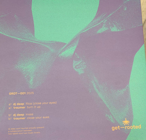 Get-Rooted 01 (VINYL) | Mint (M) Mint (M)