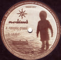 Sunkissed - Stomping Ground / Catalyst | Very Good Plus (VG+) Generic