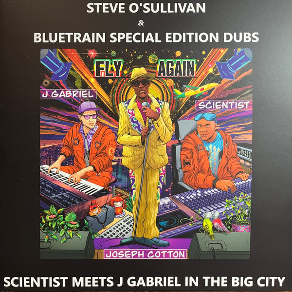 Fly Again Dub Remixes (VINYL) | Mint (M) Mint (M)