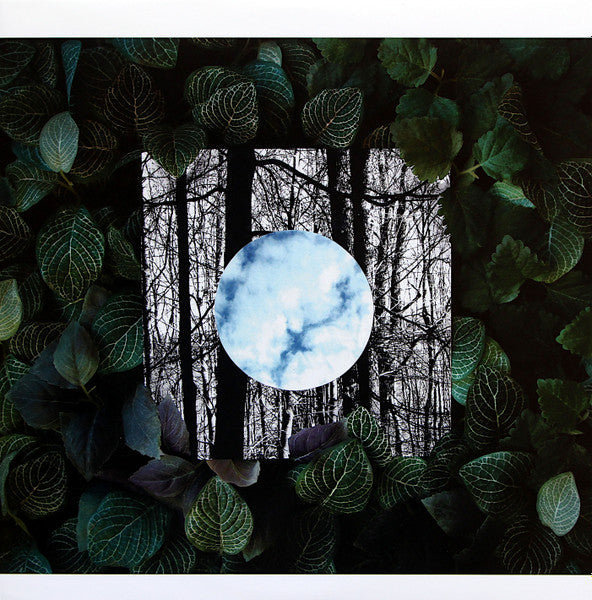 Gradual Blending (CLEAR VINYL) | Mint (M) Mint (M)