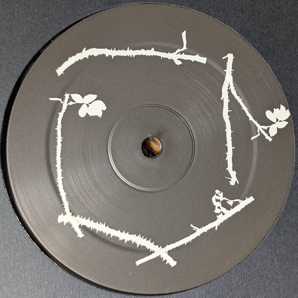 SMV011 (VINYL) | Mint (M) Mint (M)
