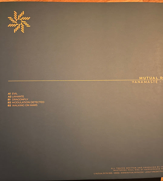 Evil (VINYL) | Mint (M) Mint (M)