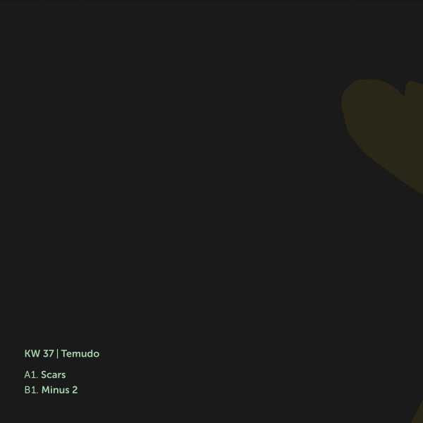 Temudo - Klockworks 37 (VINYL) | Mint (M) Mint (M)