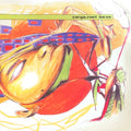 Root_Locus / Laufer (VINYL) | Excellent (EX) Near Mint (NM)