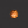 Perfect Collection: Spring | Near Mint (NM) Generic
