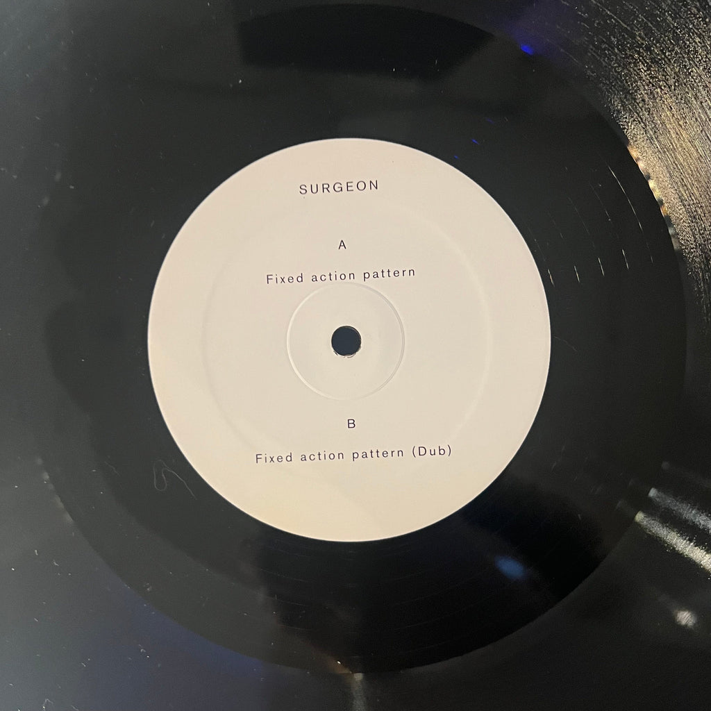 Surgeon - Fixed Action Pattern | Near Mint (NM) Near Mint (NM)