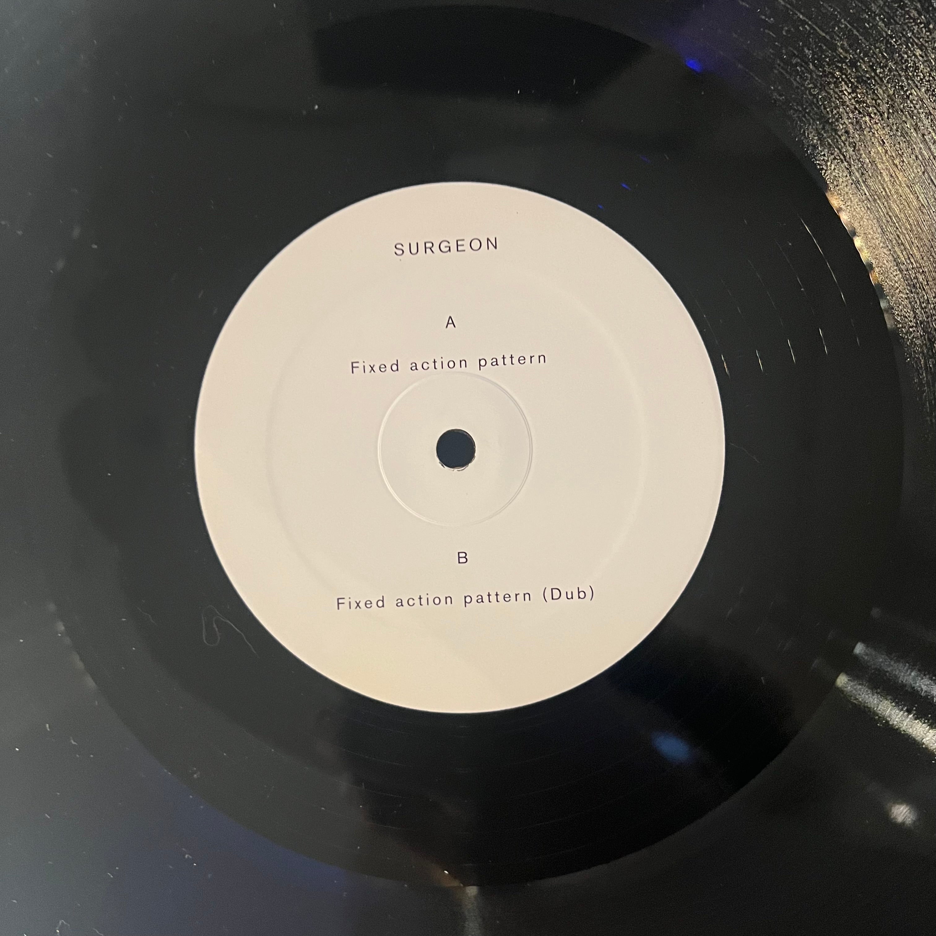 Surgeon - Fixed Action Pattern | Near Mint (NM) Near Mint (NM)