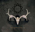 My Horns Are a Flame to Draw Down the Truth (CD) | Mint (M) Mint (M)