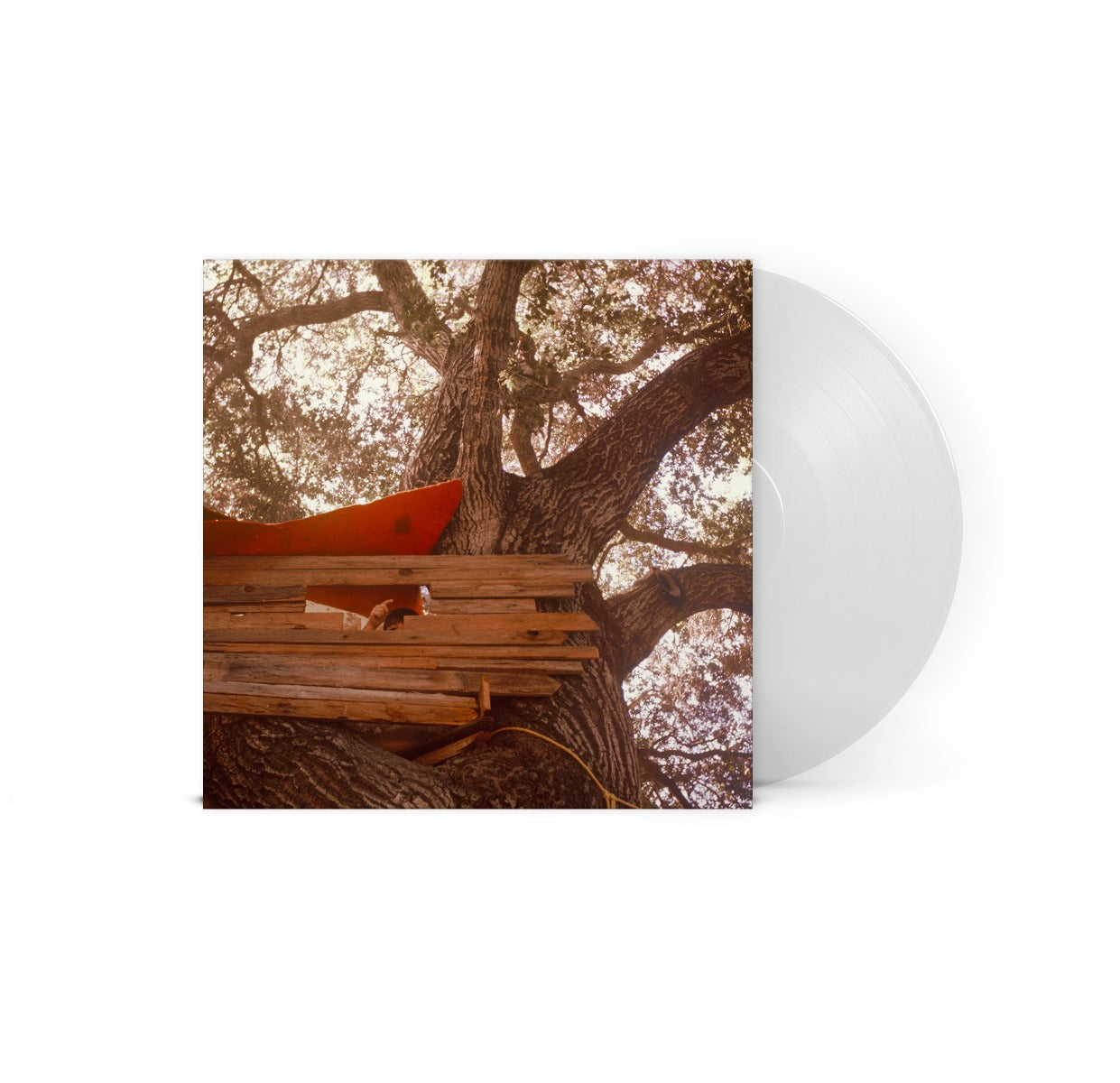 Waiting To Spill (Indie Exclusive, Clear Vinyl) | Mint (M) Mint (M)