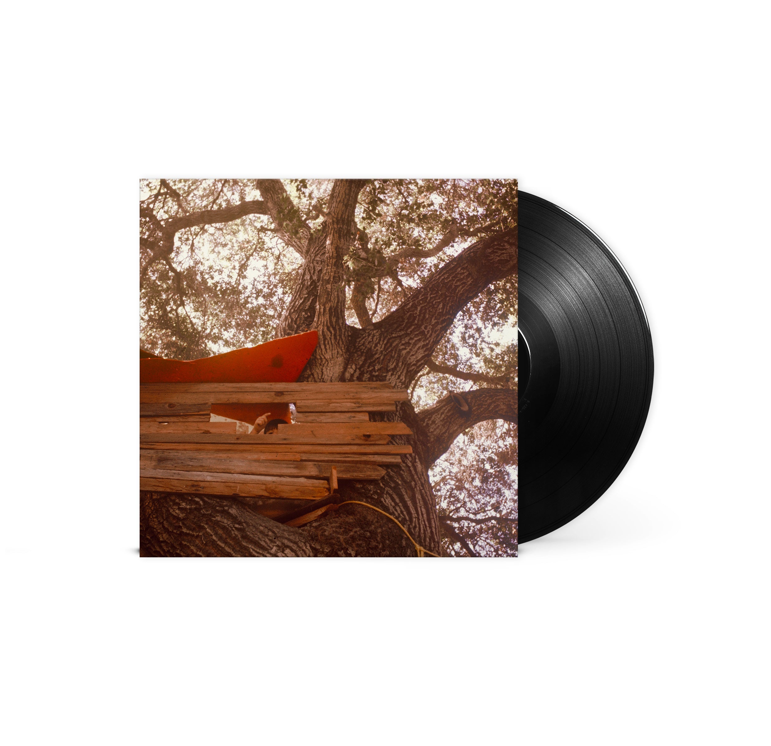Waiting To Spill [LP] | Mint (M) Mint (M)