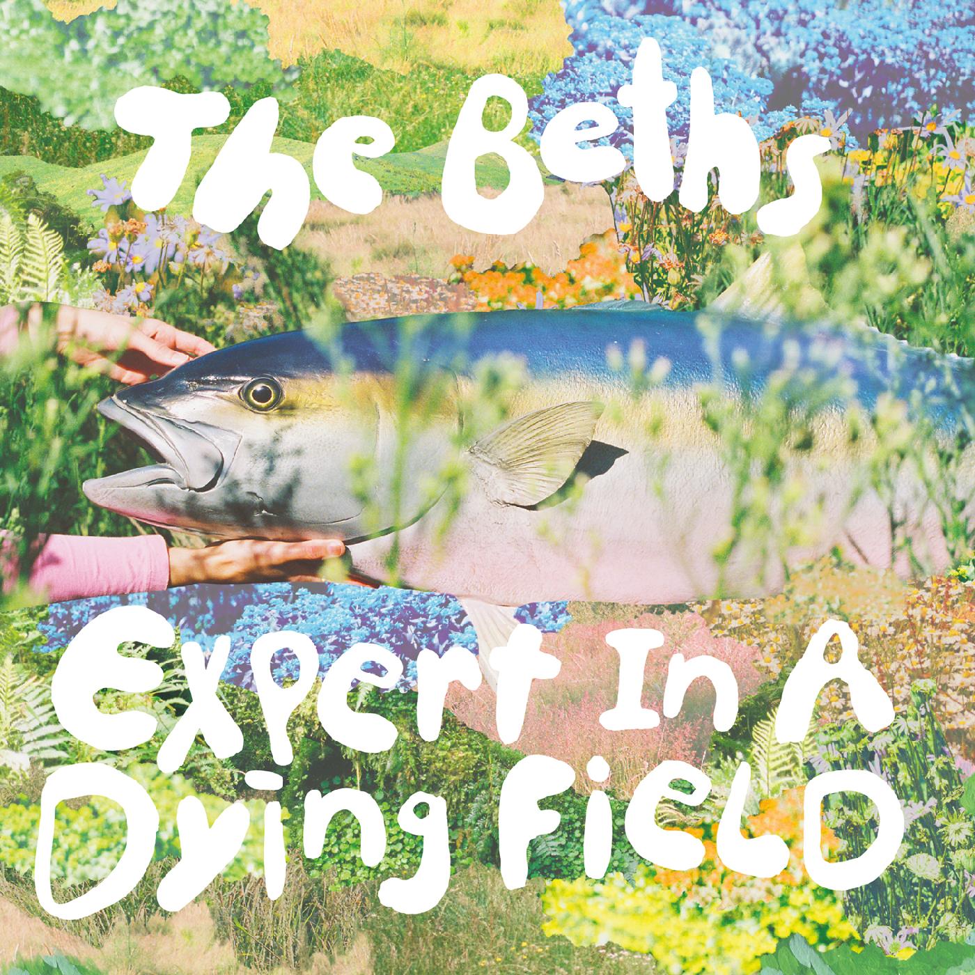 The Beths - Expert In A Dying Field |