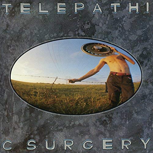 The Flaming Lips - Telepathic Surgery (Vinyl) |