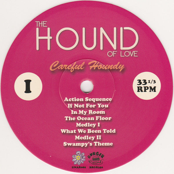 Careful Houndy | Mint (M) Mint (M)