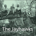 The Jayhawks - Tomorrow the Green Grass | Mint (M) Mint (M)
