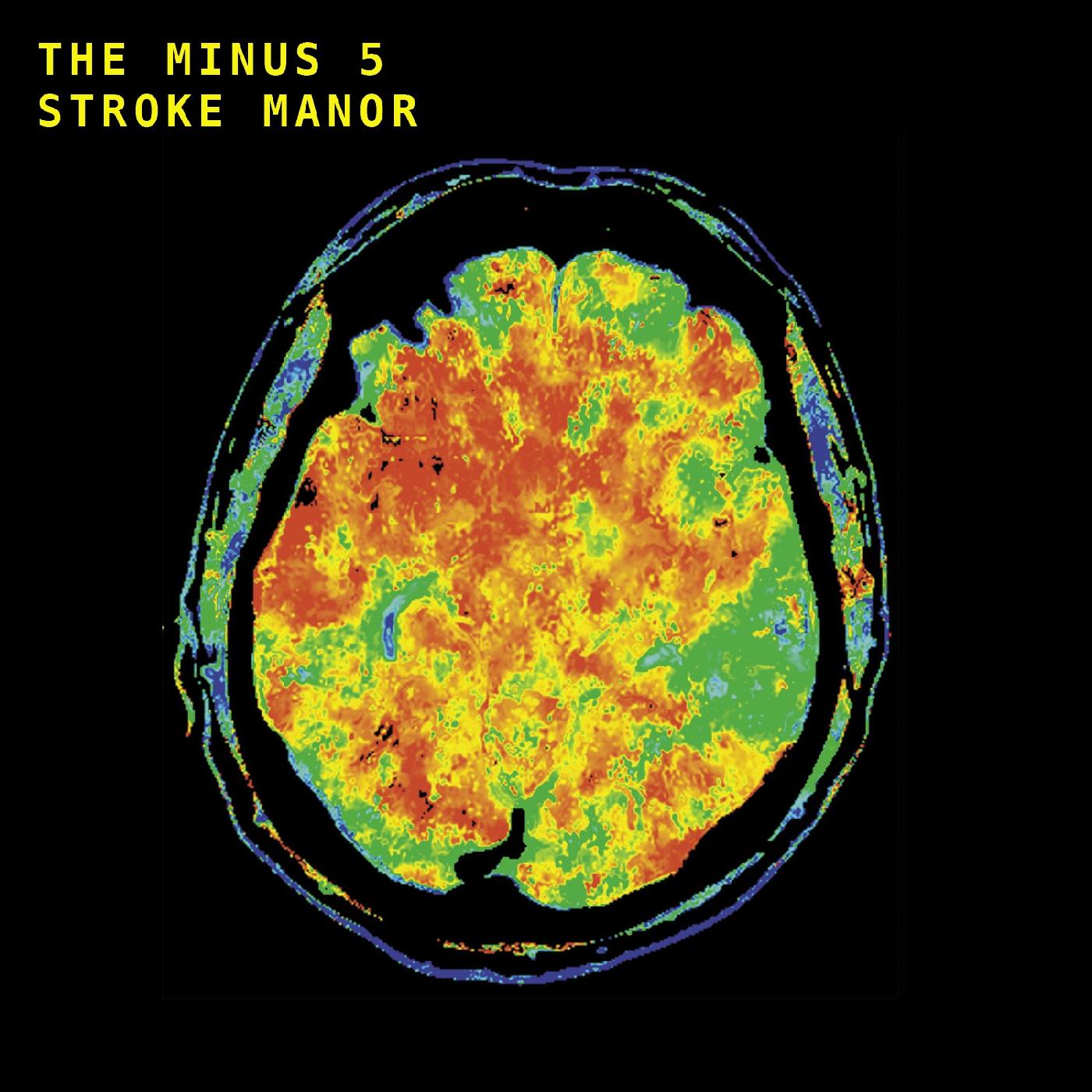 Stroke Manor (VINYL) | Mint (M) Mint (M)