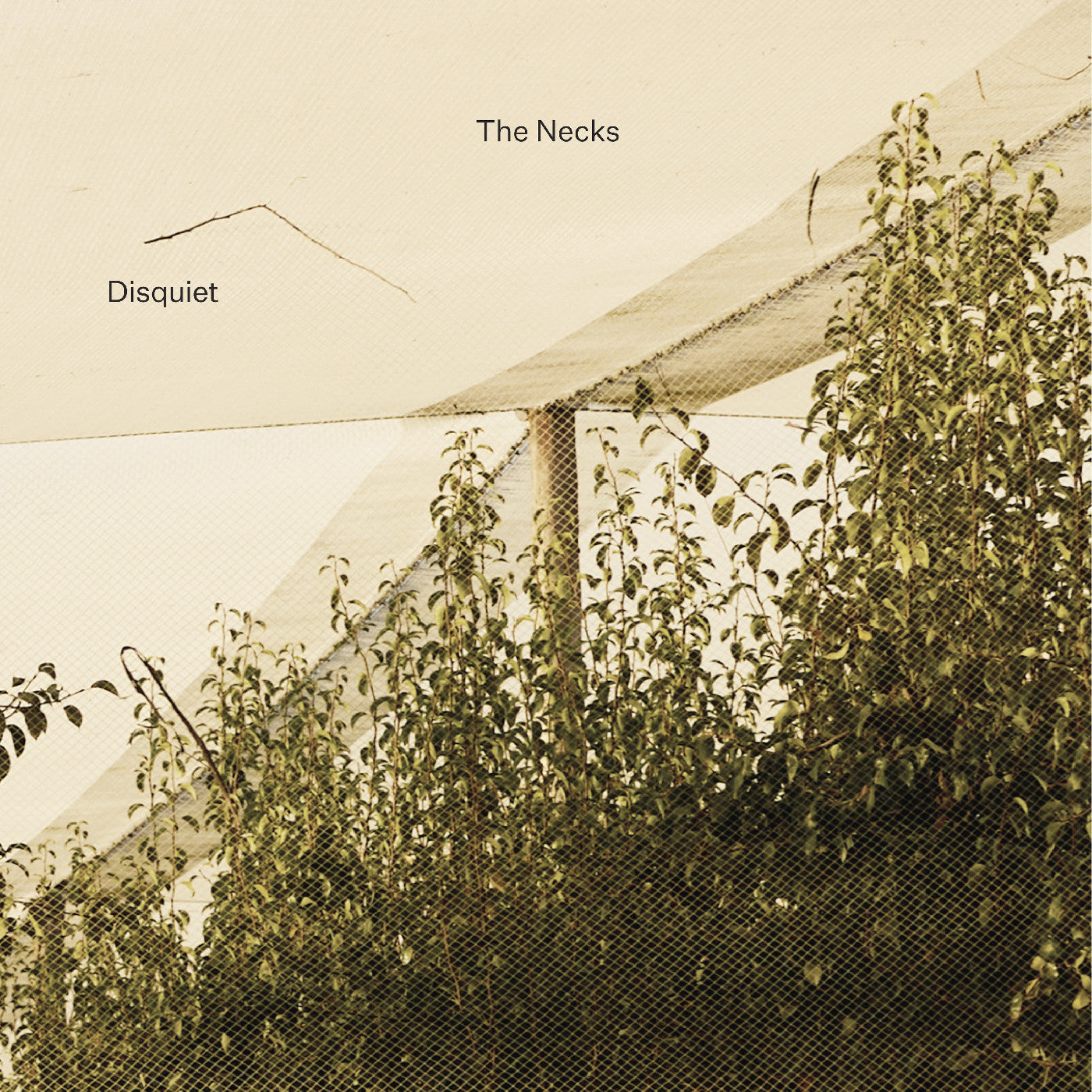 Disquiet |
