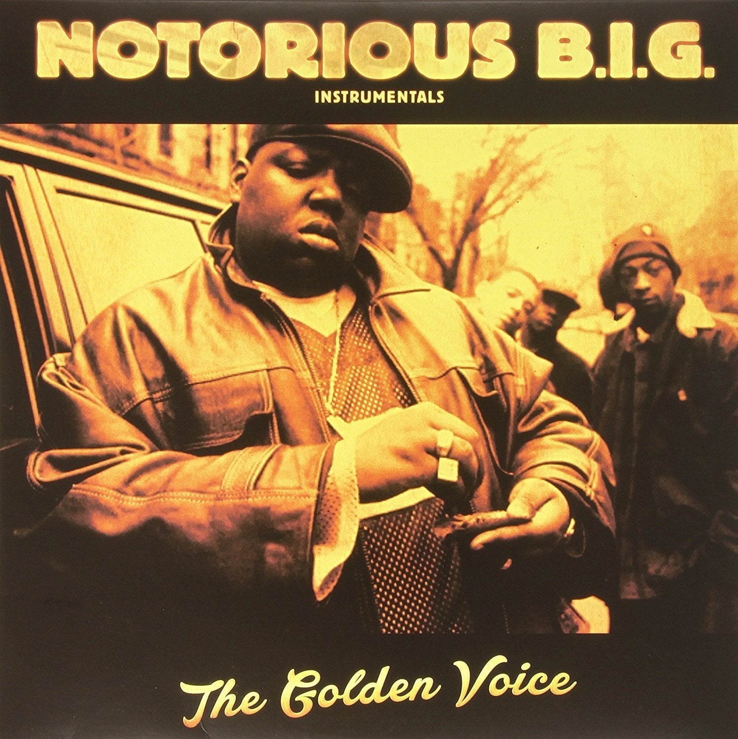 Instrumentals the Golden Voice (2LP) | Mint (M) Mint (M)