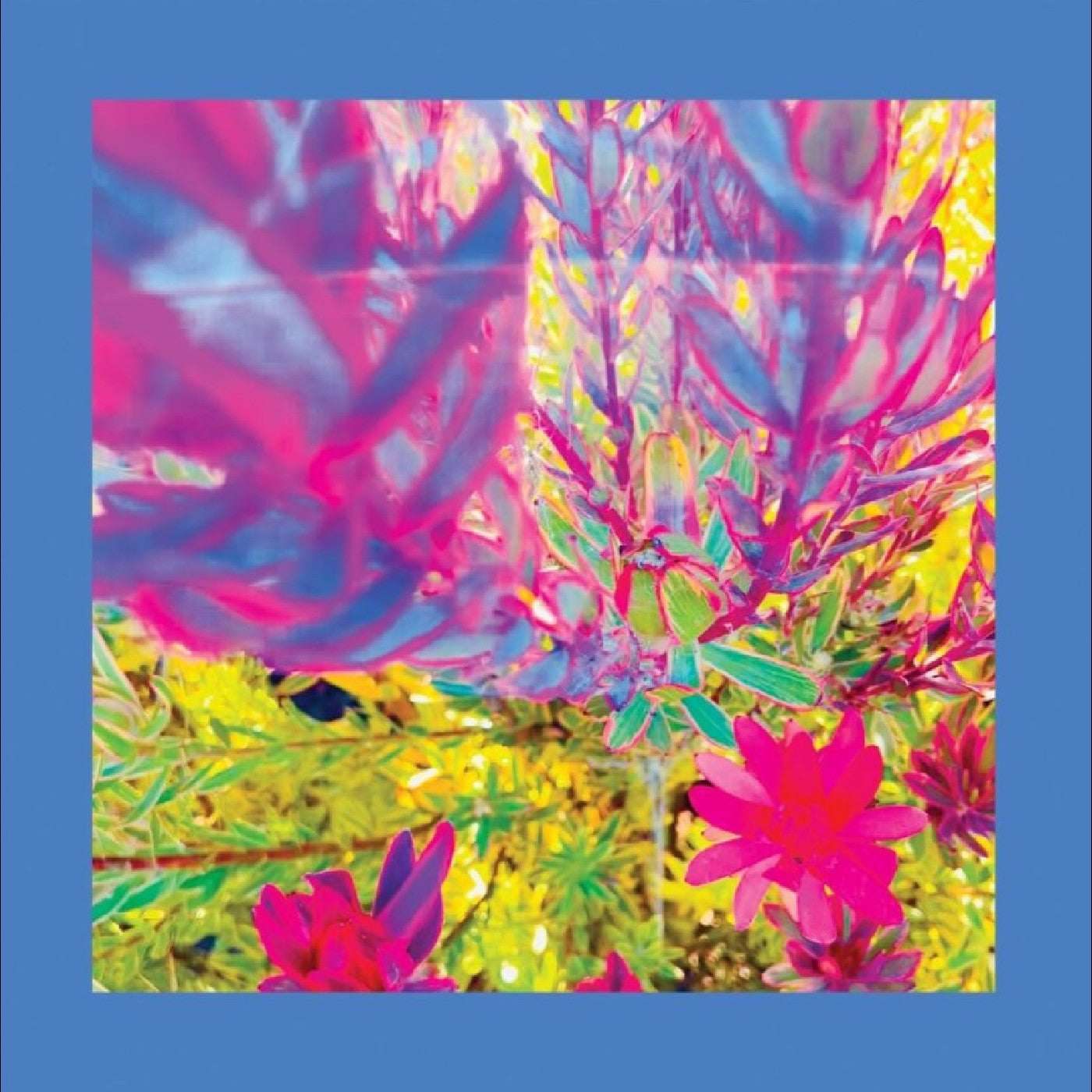 The Past Is A Garden I Never Fed (Sky Blue Vinyl) | Mint (M) Mint (M)
