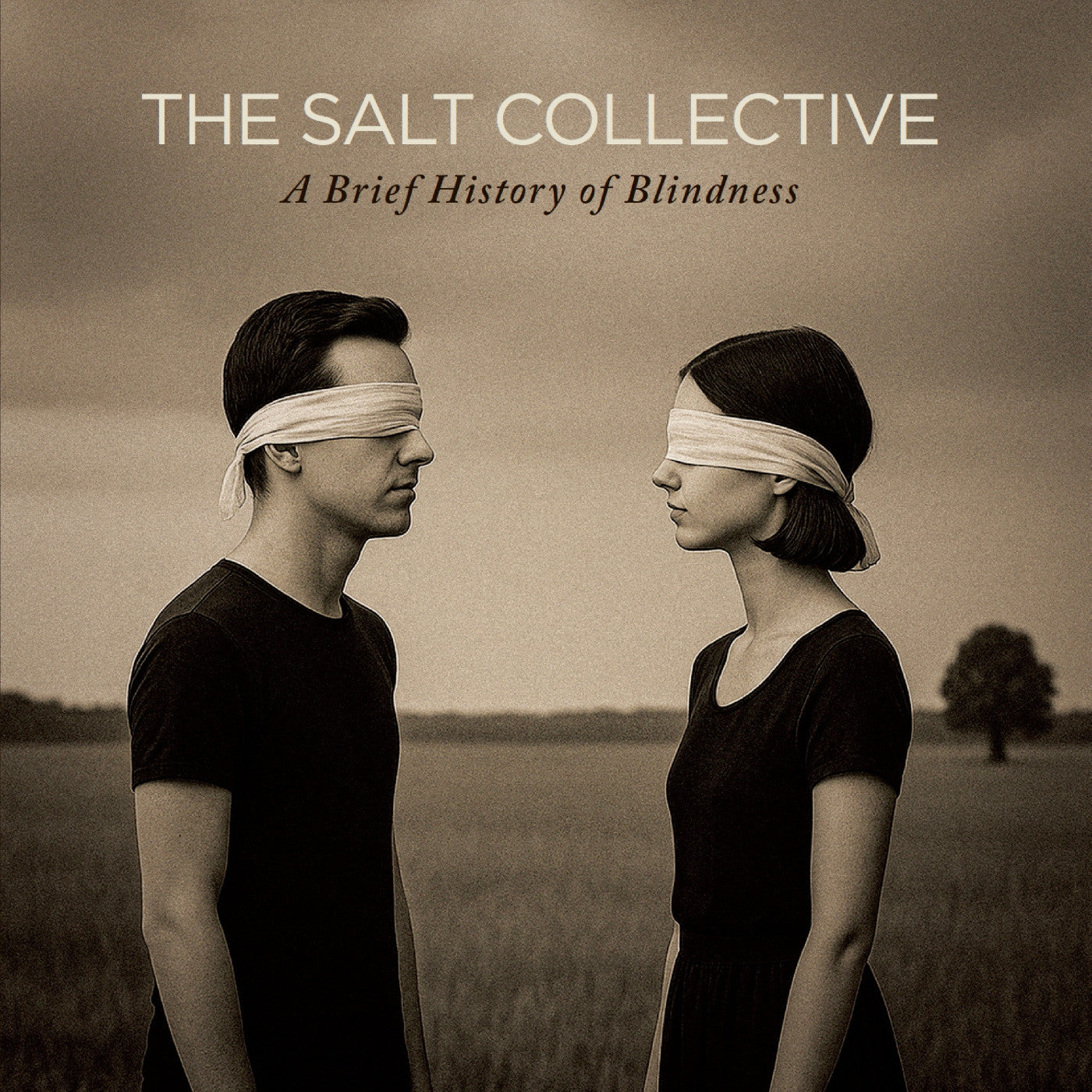 The Salt Collective - A Brief History Of Blindness (CD) | Mint (M) Mint (M)