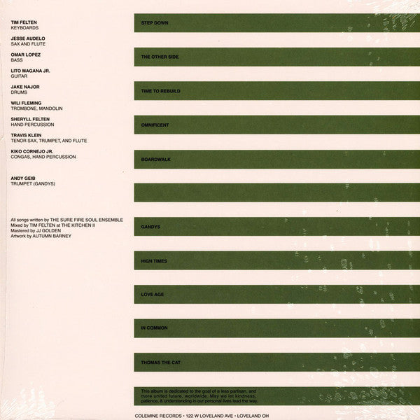 Step Down (VINYL) | Mint (M) Mint (M)