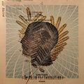 Wake The Dead |