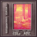 At the End of Cole Ave. - The First Night |
