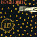 The Wallflowers - Bringing Down the Horse: 20th Anniversary Edt 2LP | Mint (M) Mint (M)