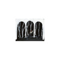 Crooked Wing (CD) | Mint (M) Mint (M)