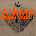 Anima (2x Vinyl) | Mint (M) Mint (M)
