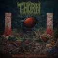 Nebulous Womb Of Eternity |