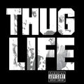 Thug Life/2Pac - Thug Life: Volume 1 [LP] | Mint (M) Mint (M)