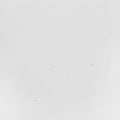 Conjectures |