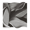 Illustrations For Those Who |