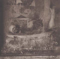 Wunderkammer |