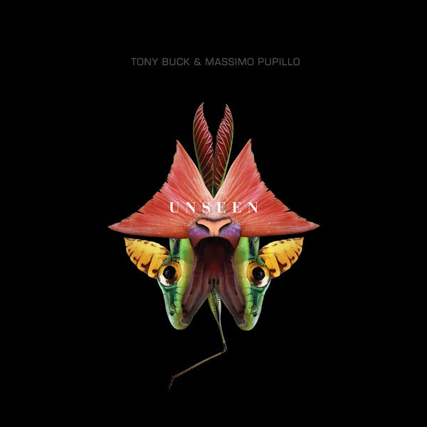 Unseen (CD) | Mint (M)