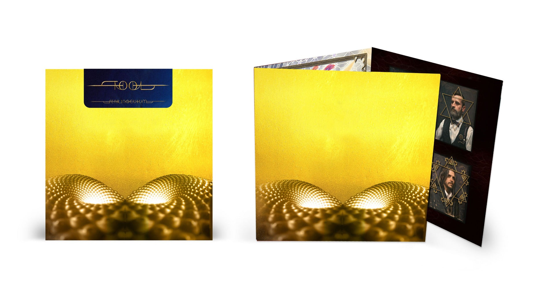 Tool - Fear Inoculum (180 GRAM VINYL) | Mint (M) Mint (M)