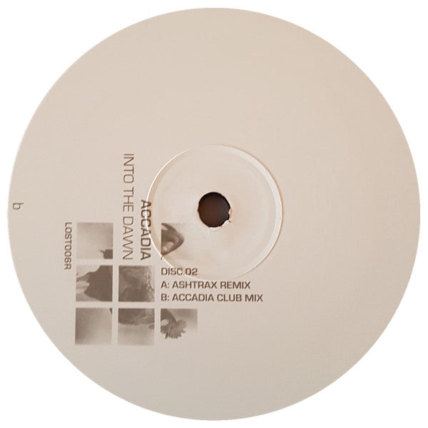 Accadia - Into The Dawn (VINYL) | Excellent+ (EX+) Excellent (EX)