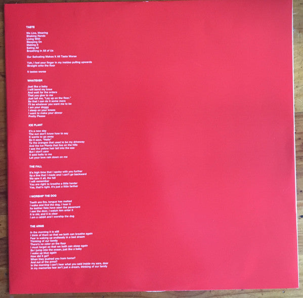 Ty Segall - First Taste | Mint (M) Mint (M)