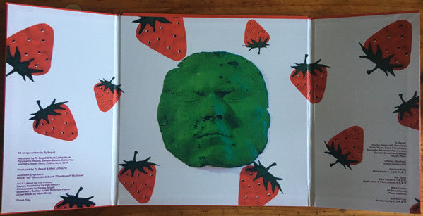 Ty Segall - First Taste | Mint (M) Mint (M)