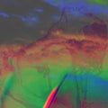 Weird Universe |