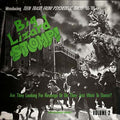 Big Lizard Stomp! Volume 2: Teen Trash from Psychedelic Tokyo '66-'69 |