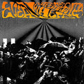Everywhere Interferences |