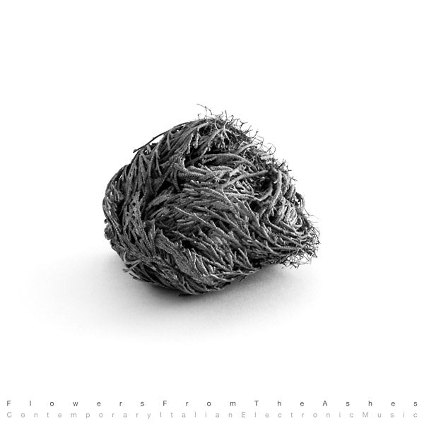 Flowers From The Ashes: Contemporary Italian Electronic Music |