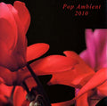 Pop Ambient 2010 |