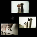 Sailing to Byzantium (VINYL) | Mint (M) Mint (M)
