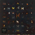 Sugars Volume I |