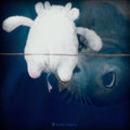 Tendres Tenebres |
