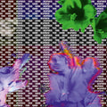 Weaponise Your Sound |
