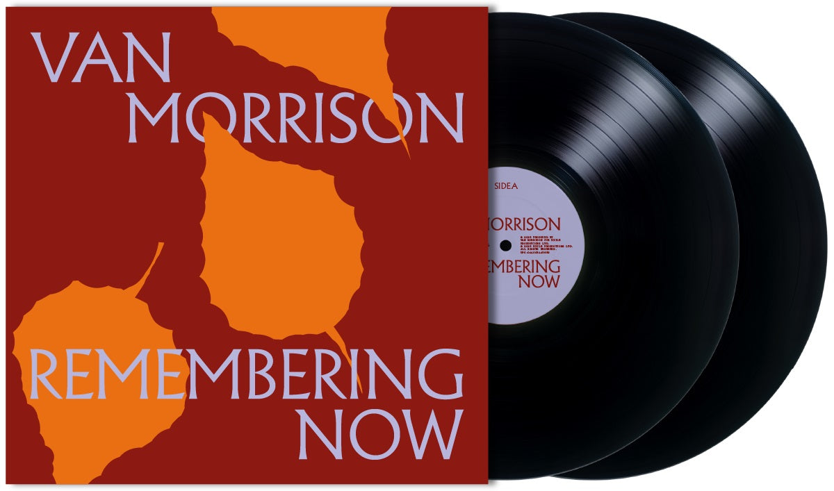 Remembering Now (2xVINYL) | Mint (M) Mint (M)
